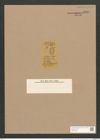 Cocconeis disculus (Schum.) Cleve (de-Toni-Nr.: Genus 40, Species 1838) Zeichnungen Sammlung Grunow Nr. 3628 (NHMW-BOT-W0371233)
